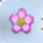 少女csgo高清windows免费版观看视频最新版